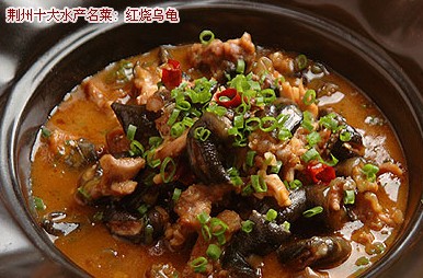 荆州十大名菜—红烧乌龟